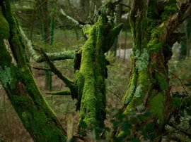 Deus Ex Machina: La marca de moda de culto que combina estilo y originalidad