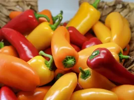 Descubre todo sobre las guindillas: su precio, beneficios, sustitutos y marcas en Carrefour y Mercadona