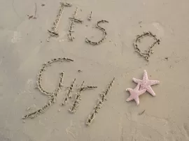 Descubriendo el verdadero significado de la buhardilla: su origen, evolución y curiosidades