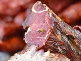 Guía para identificar la presencia de insectos en los alimentos