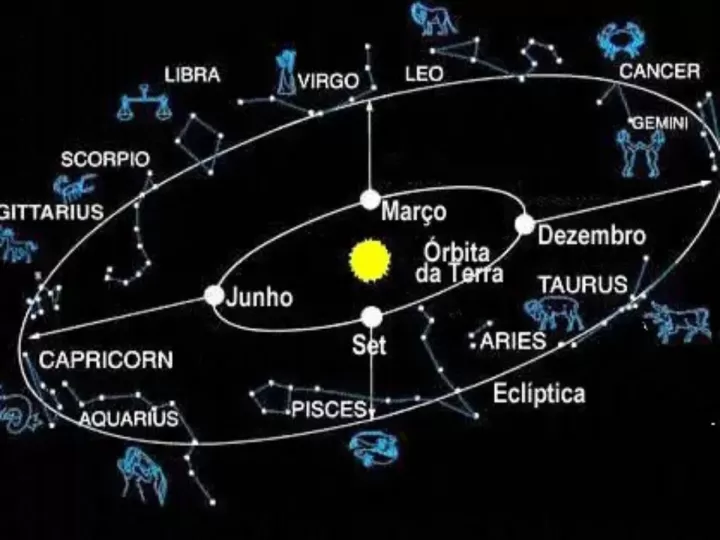ciencia nombre cientifico del mono