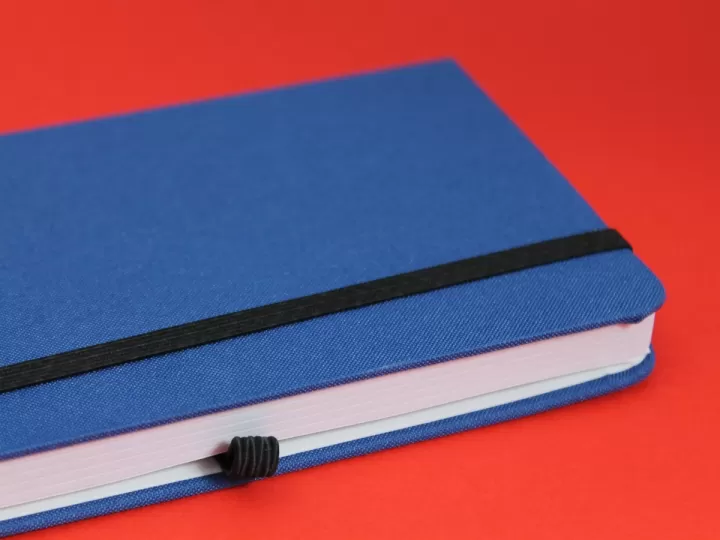 como se escribe tagarino o tagarrino