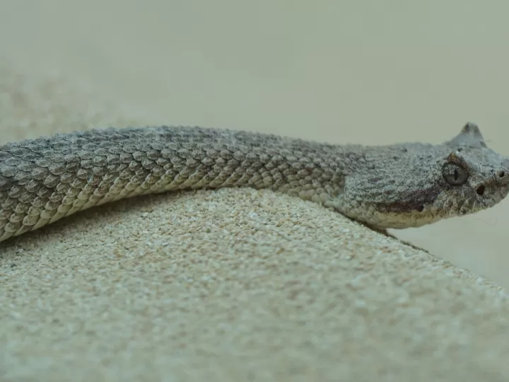 cuanto cobra un contable en españa