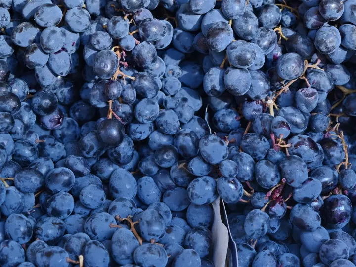 en que paises se comen las 12 uvas