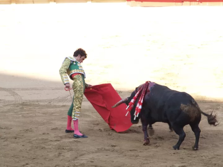 fernando paz deja el toro tv