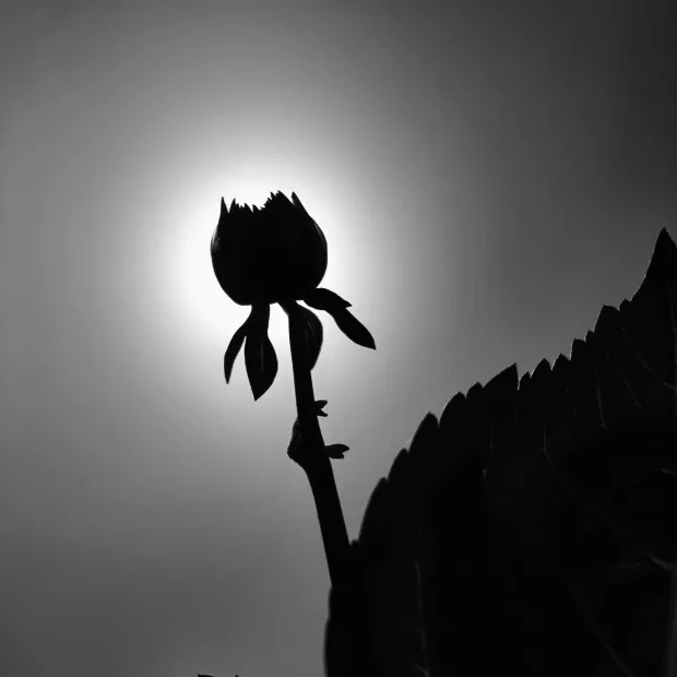 frases bonitas de navidad con imagenes.htm
