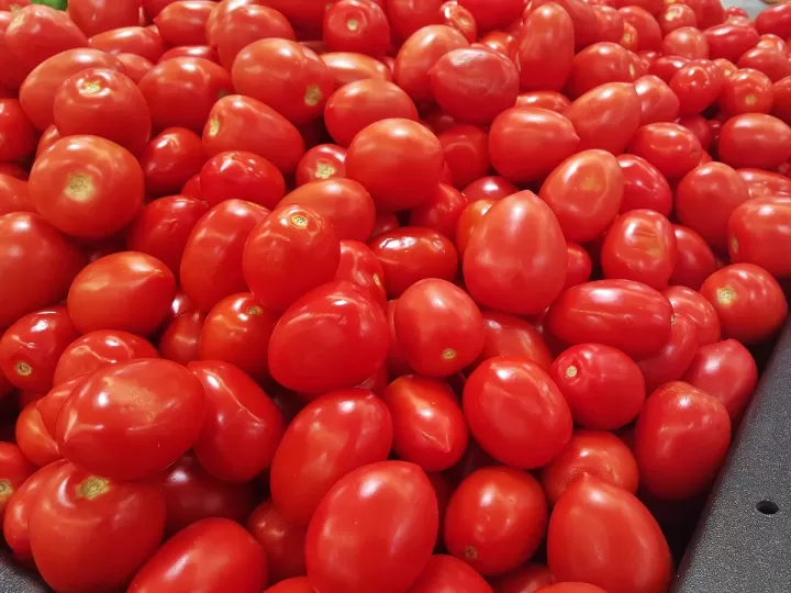 ir al catalogo proteccion del cultivo desinfeccion adyuvantes 180310278 atrayente azucarado 400 200 ltr detail
