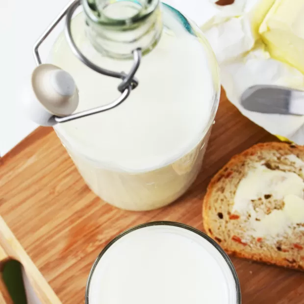 la mejor leche fresca de espana