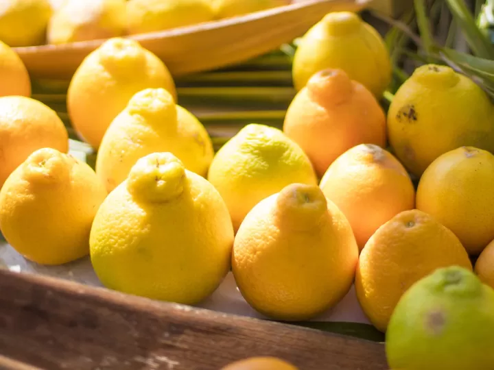 mercadona mermelada de limon