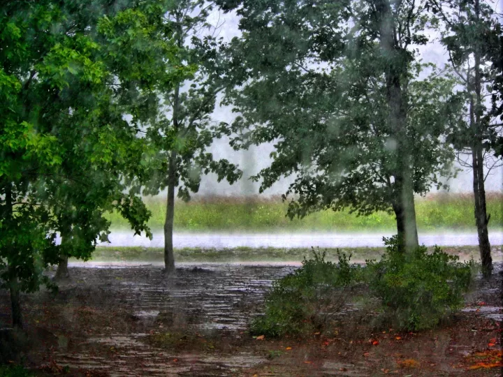 que significa 50 de probabilidad de lluvia