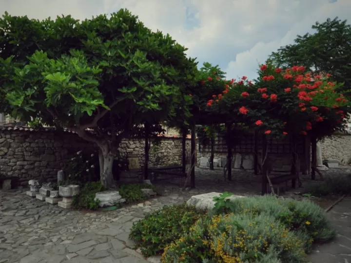 significado de eliana apodos