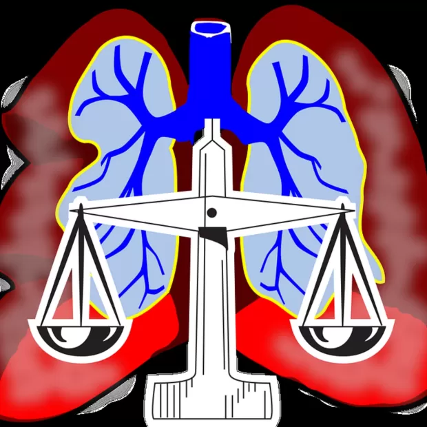 sistema respiratorio del perro