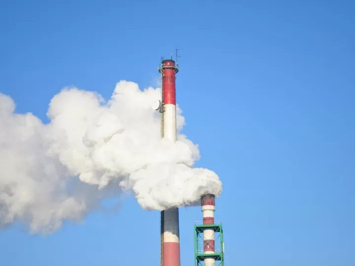 temas legales economia es toxico el humo del pellet