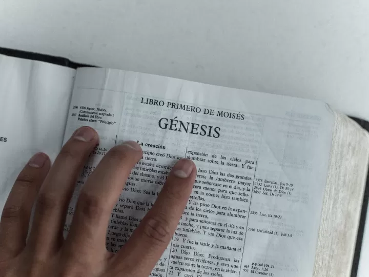 temas legales testamento en un segundo matrimonio con hijos del primer matrimonio