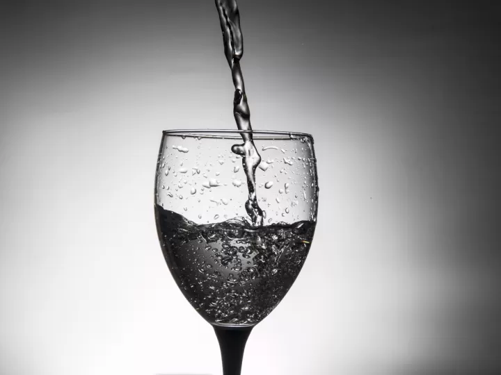 vino tinto sin alcohol lidl